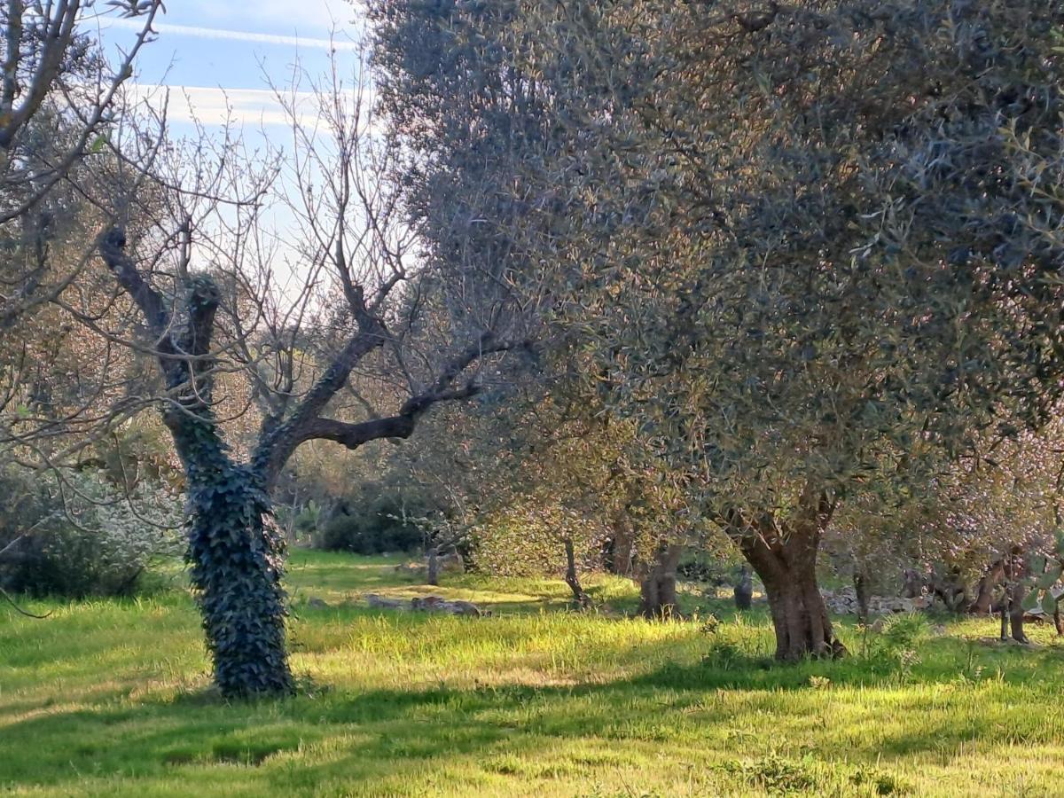 Casa Baronessa Βίλα Ceglie Messapica Εξωτερικό φωτογραφία